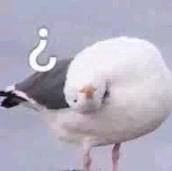 你以为是第一人称就有cp了吗？